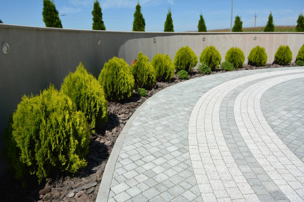 Best Decorative Driveway Pavers  in Timberlake, VA